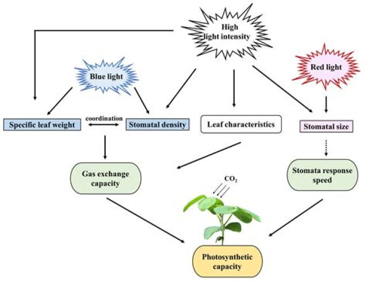 What is the effect of pushing?
