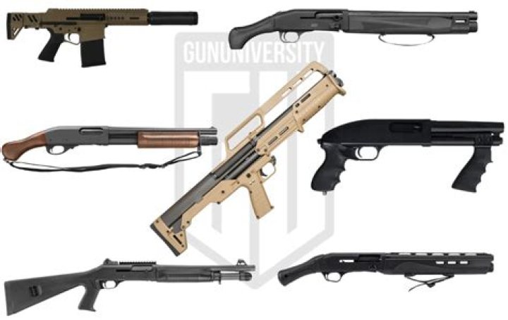 What is the heaviest handheld gun?