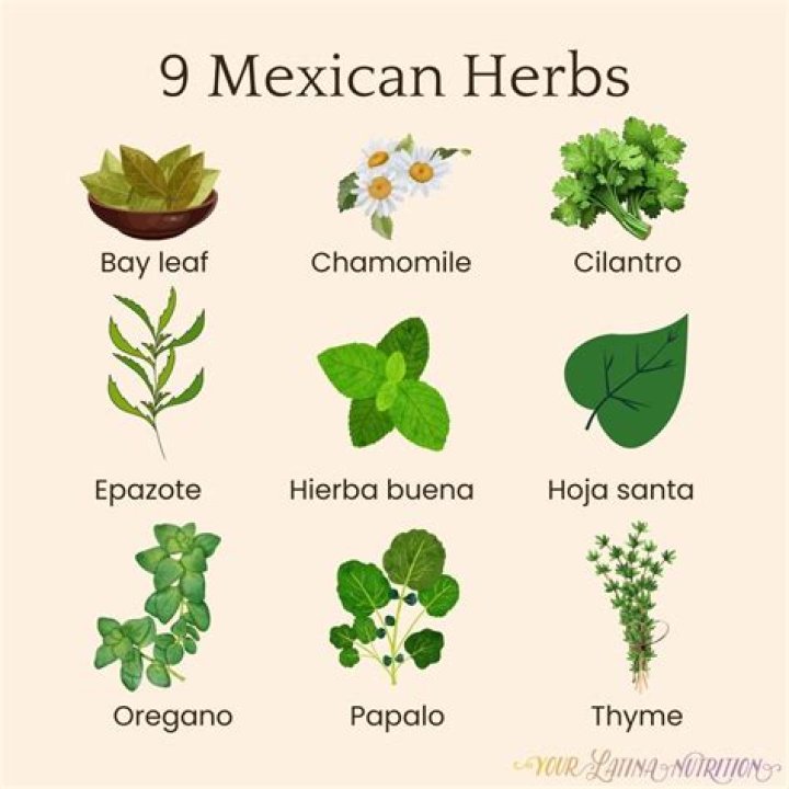 What is the herb Dania?