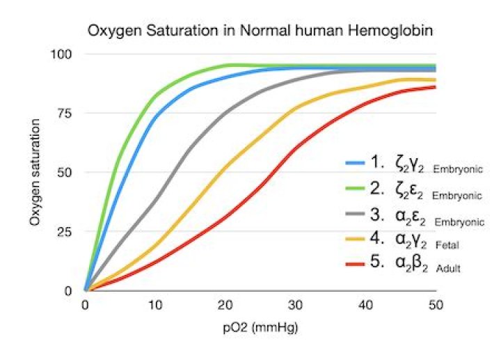 What is the lowest oxygen saturation compatible with life?
