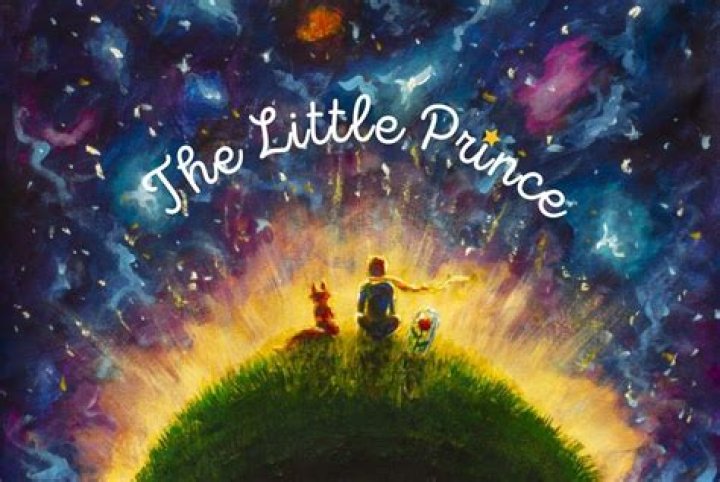 What is the main problem in the little prince?