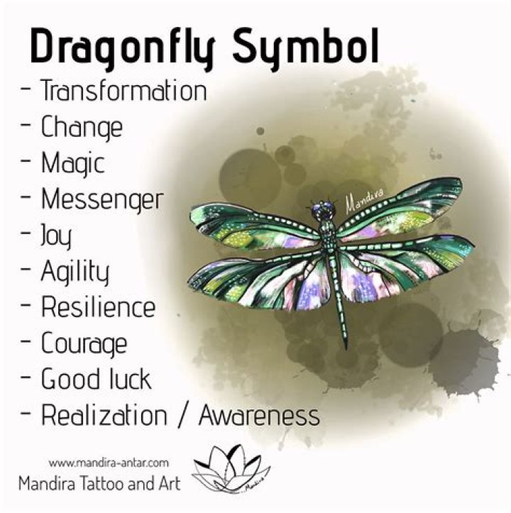 What is the meaning of a dragonfly tattoo?