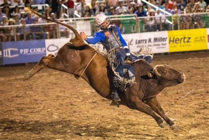 What is the most common injury in bull riding?