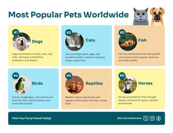 What is the most owned pet in the world?
