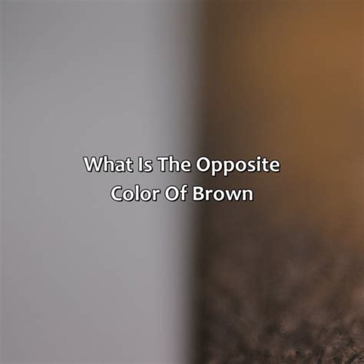 What is the opposite black?