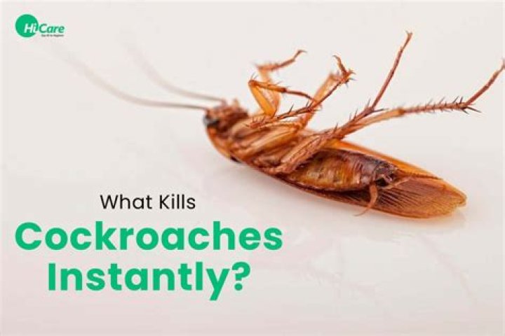 What kills cockroaches instantly?