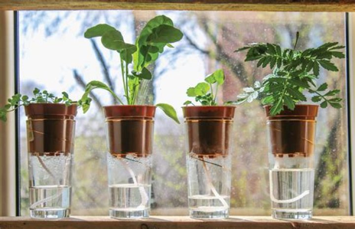 What material is best for wicking water?