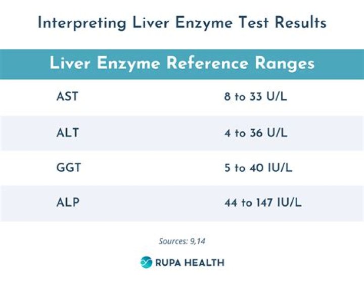 What medications can cause liver enzymes to be elevated?