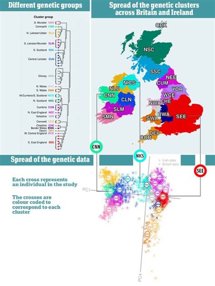 What part of England has the most Viking DNA?
