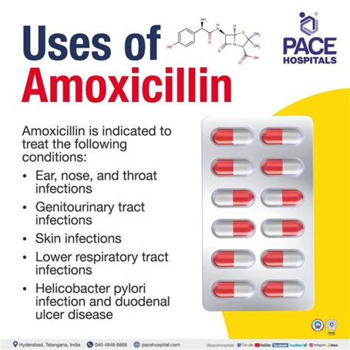 What Stds can amoxicillin cure?
