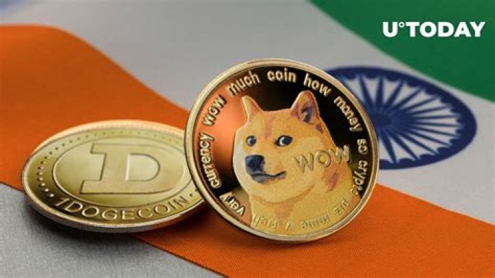 What to do after buying Dogecoin?
