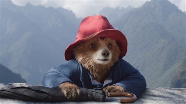 What to do if a bear comes to your tent?