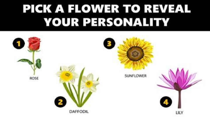 What type of flower should you send to your first love?