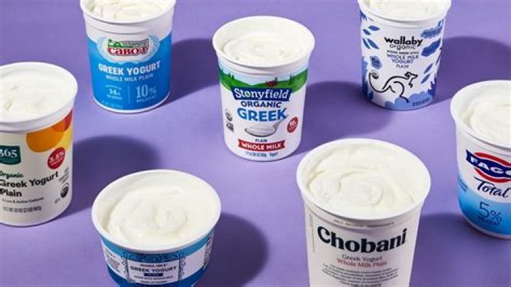 What type of Greek yogurt is safe for dogs?