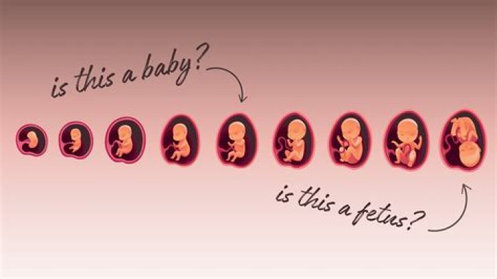When can a fetus hear Dad's voice?