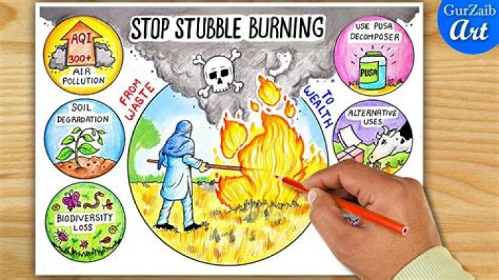 When do you stop burning Karambwans?