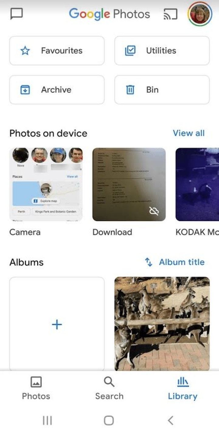 Where are my Google Photos?