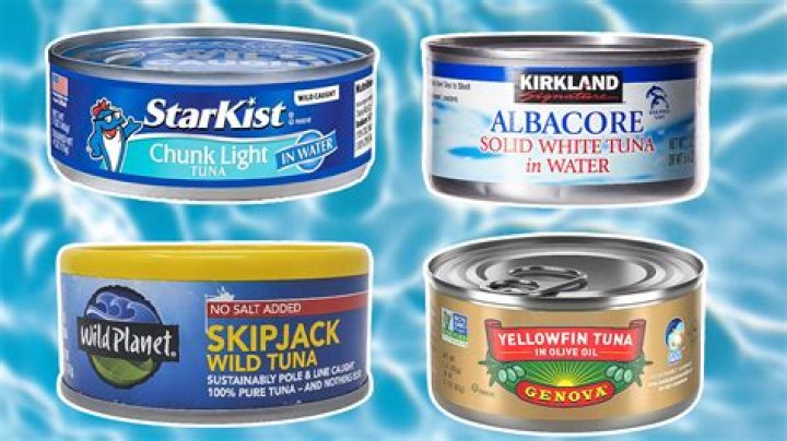 Which canned fish has the least mercury?