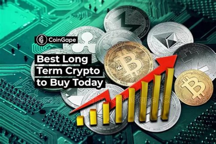 Which crypto for long term?