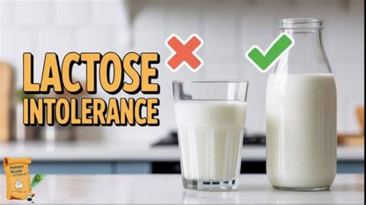 Which is better milk or curd?