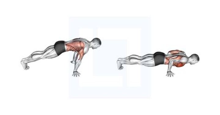 Which is better plank or push-ups?