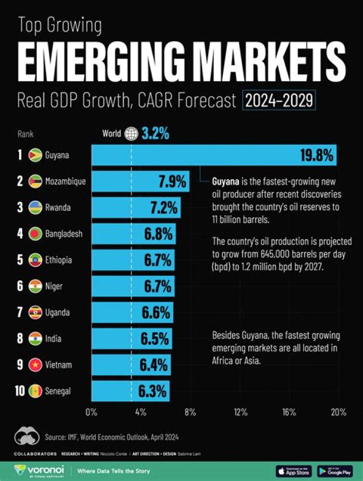 Which segment within medical devices is touted to be the fastest growing segment?