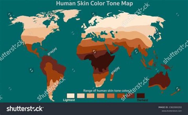 Which skin Colour is the most attractive?