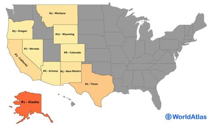 Which US state has the most Teslas?