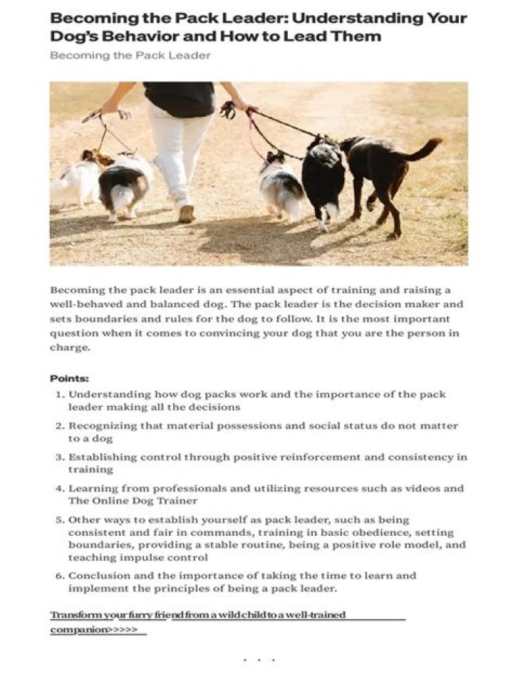 Who does a dog consider the pack leader?