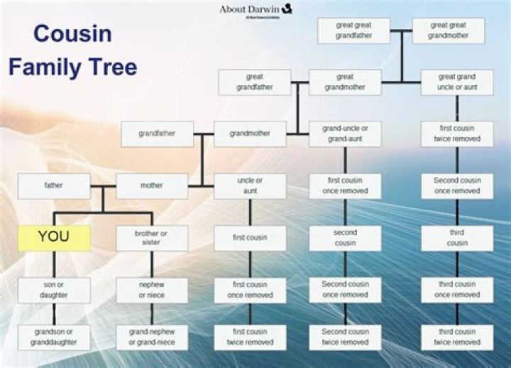 Who is a 4th cousin?