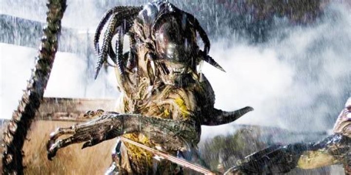 Who is stronger Xenomorph vs Predator?