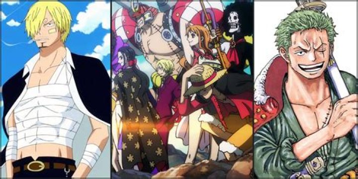 Who is the 11th Straw Hat member?