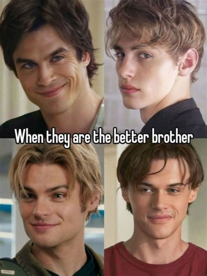 Who is the better brother Damon or Stefan?