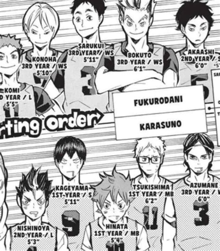 Who won nationals in Haikyuu?