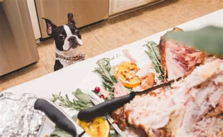 Why can't you eat raw chicken but can eat raw beef?