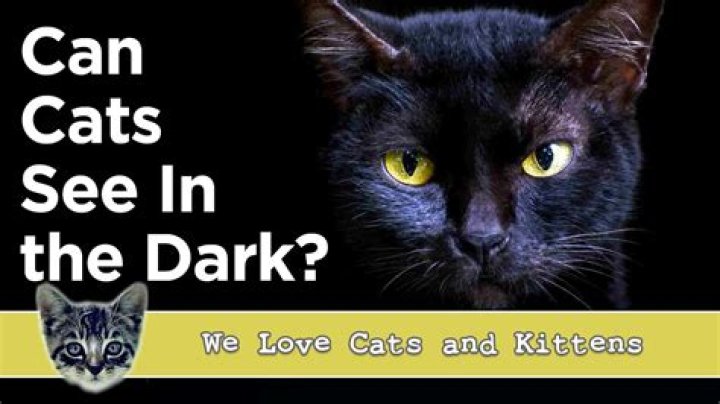 Why can I see better in the dark?