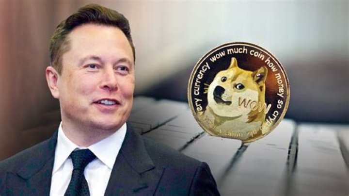Why did Elon Musk buy Dogecoin?