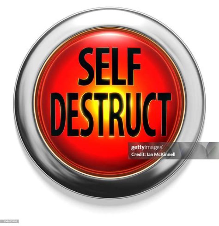 Why did Ripley cancel the self destruct?
