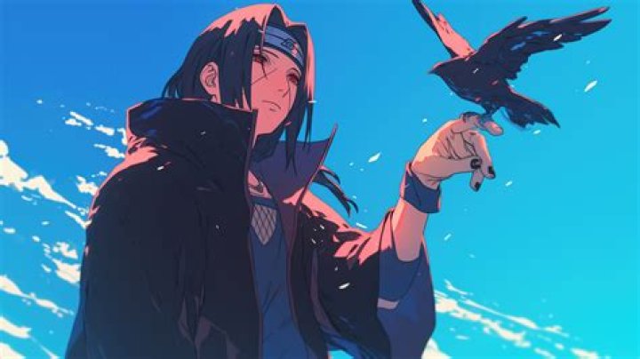 Why do crows like Itachi?