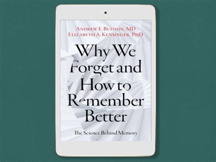 Why do we forget what we learned in school?