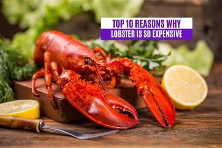 Why is lobster so expensive?