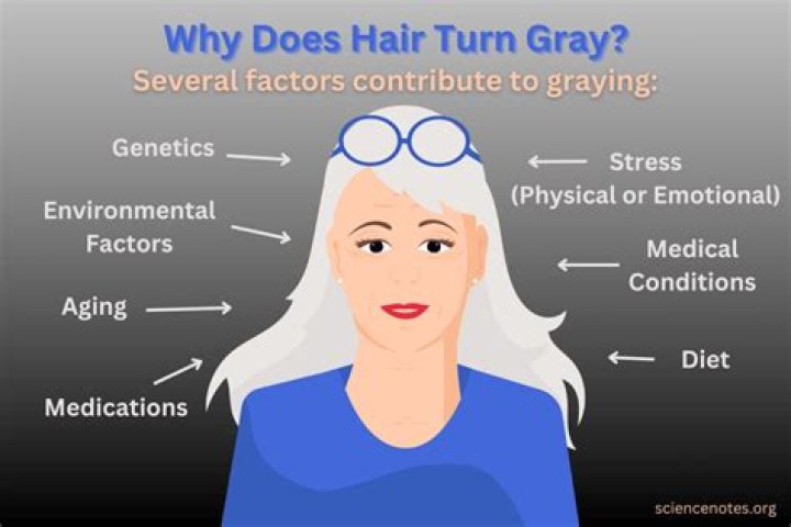 Why is my bunny turning grey?