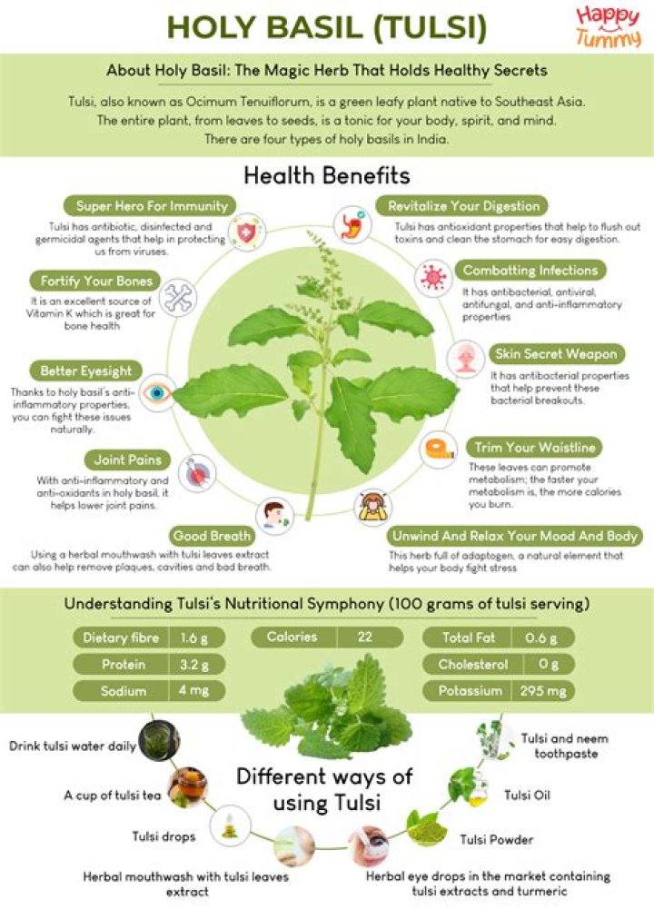 Why is Tulsi called holy basil?