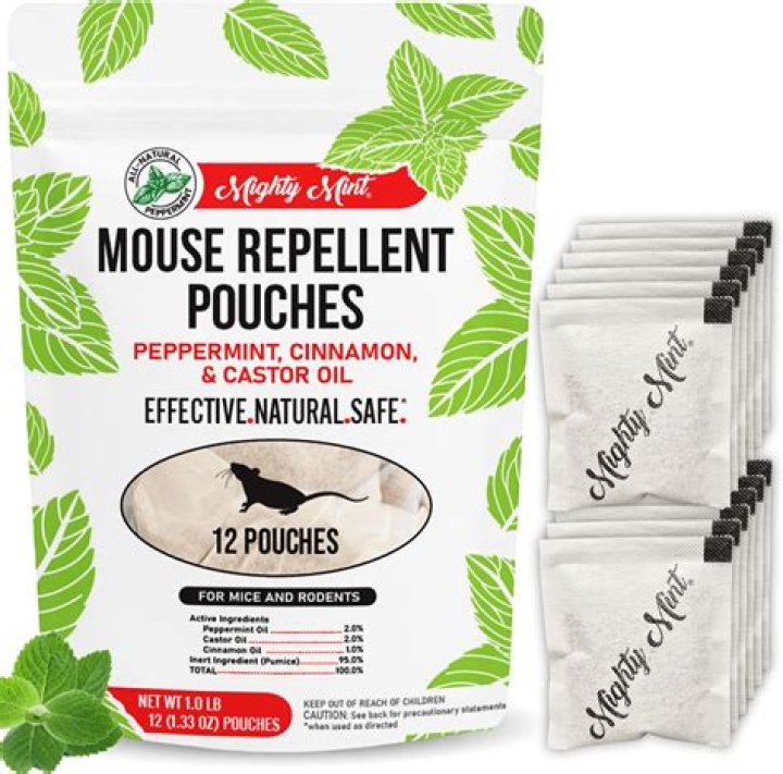 Will leaving the lights on keep mice away?