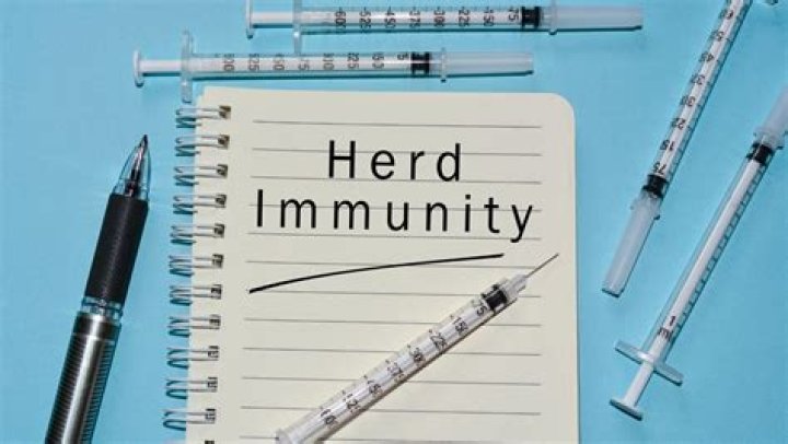 Will the vaccine end the pandemic?