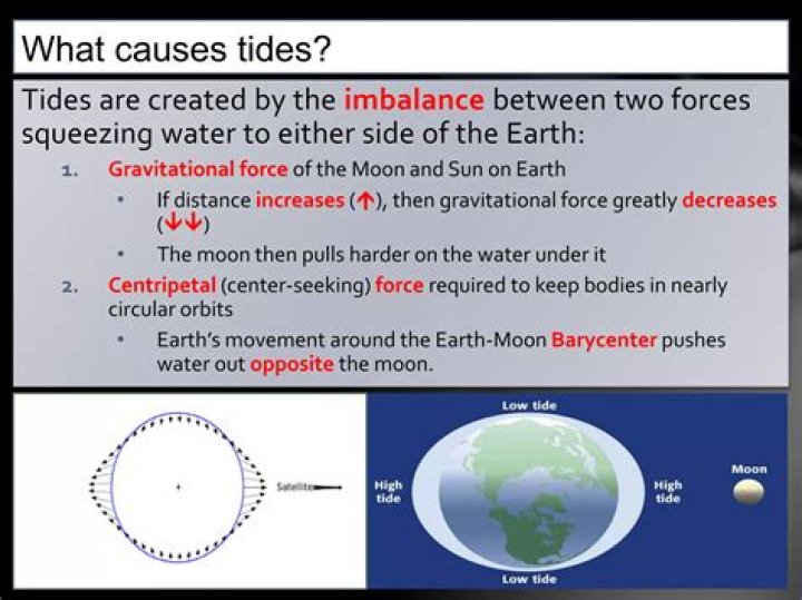 Would life exist without the Moon?